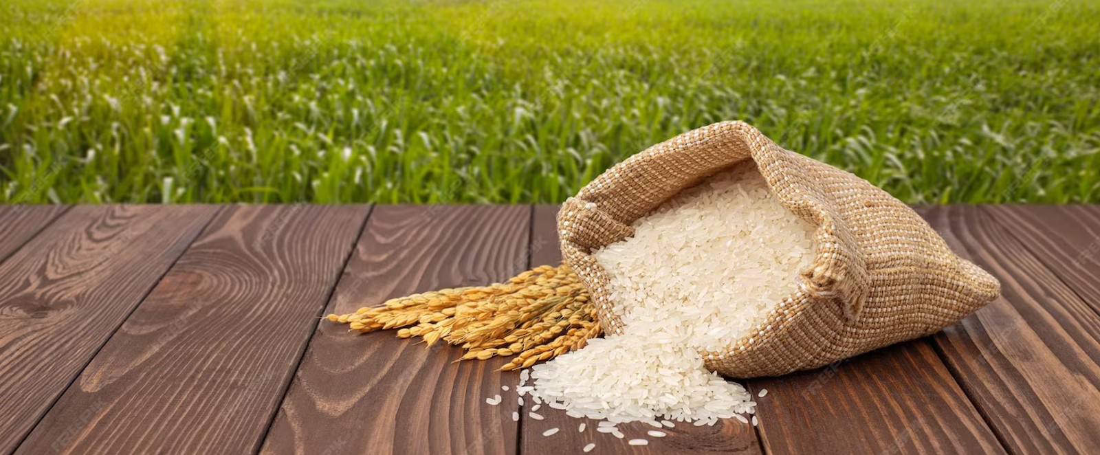 Rice Grain Production